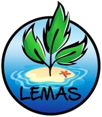 LEMAS